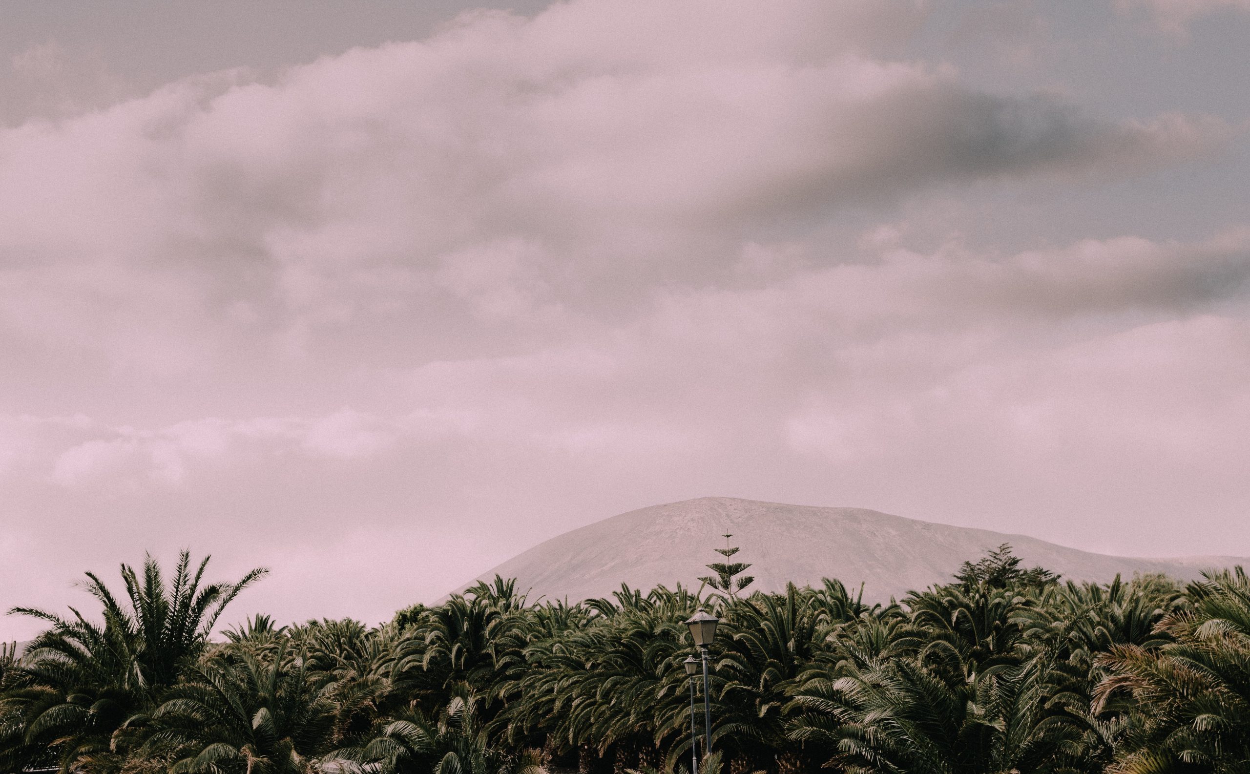 richard-boyle-fyVkLK1o7YI-unsplash