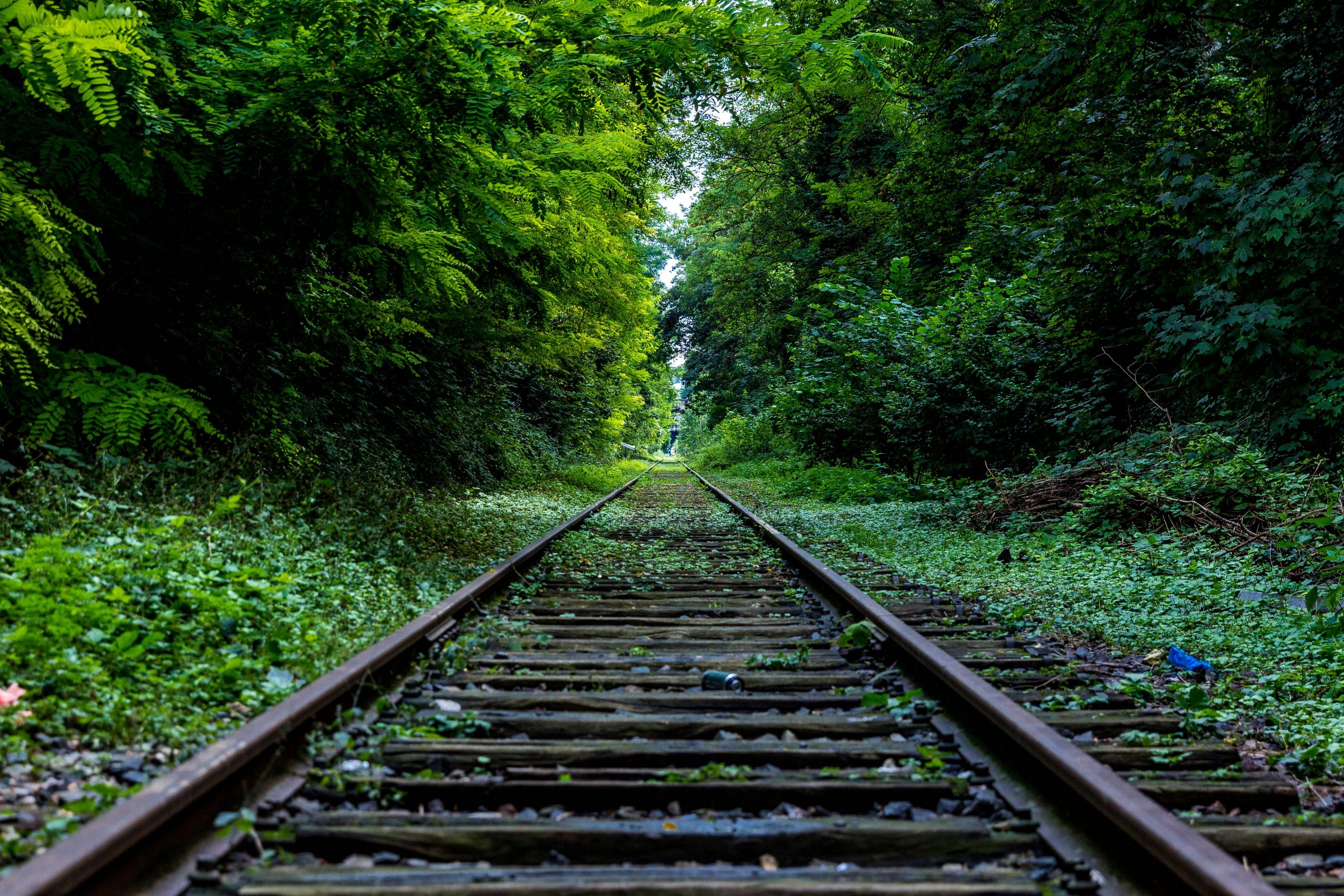 Rural Trains in Spain